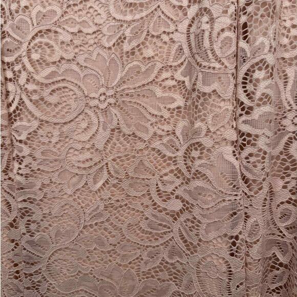 TORRID New With Tags Blush Pink Lace Trapeze Midi Dress Size 2 (18-20) - Picture 3 of 7